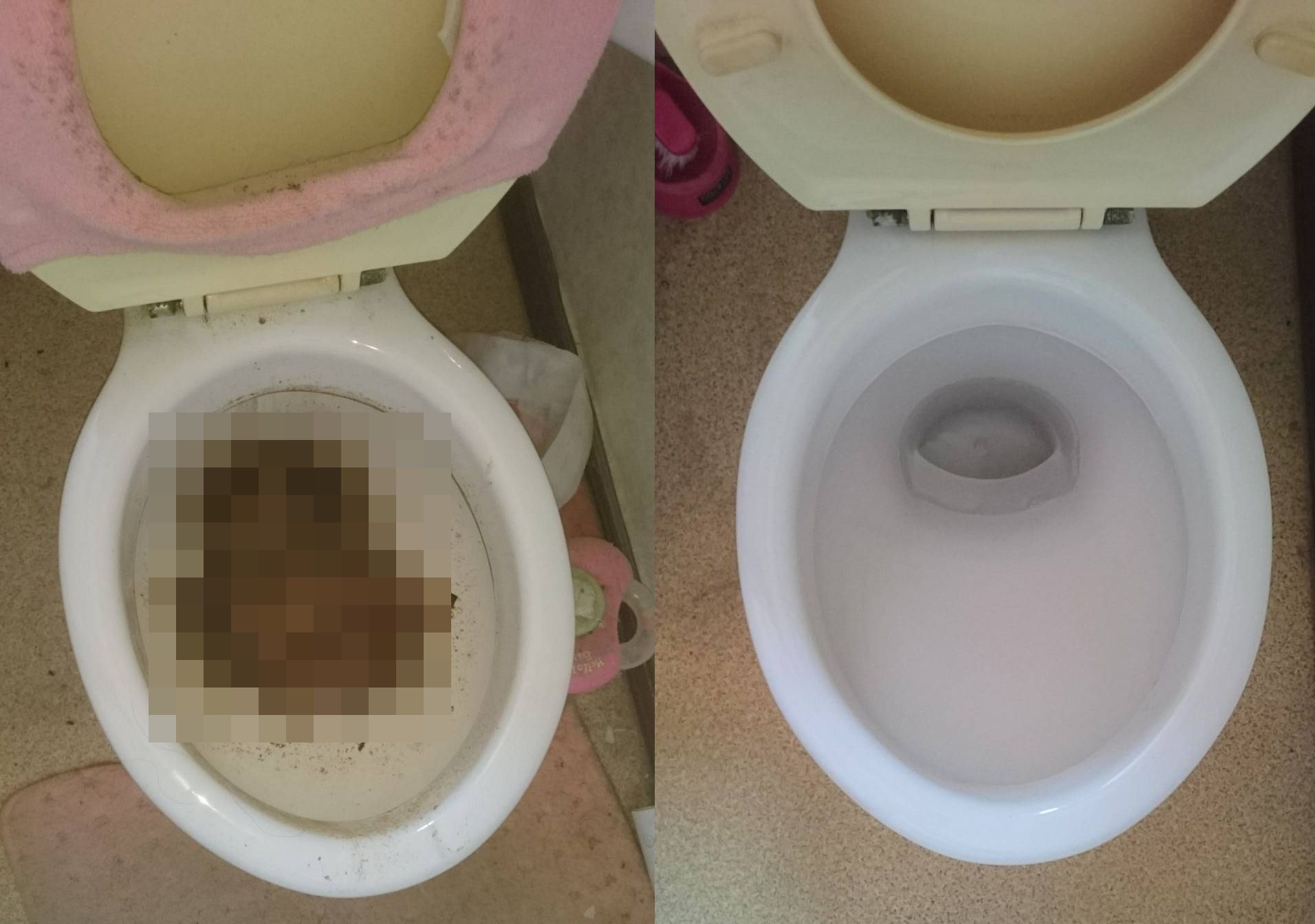 豊平区で1年間放置していたトイレの特殊清掃 札幌便利屋 New Gate