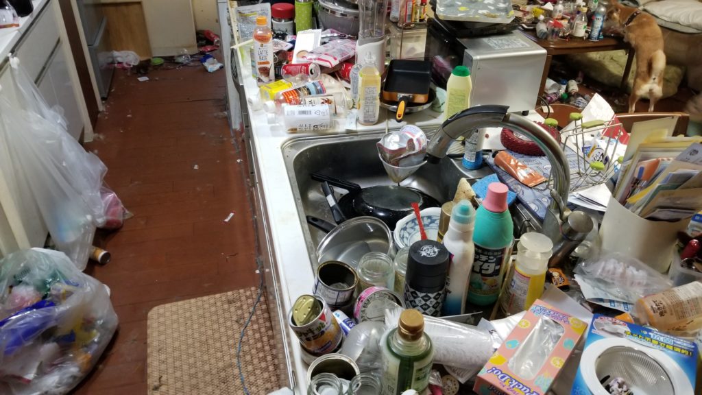 女性一人暮らしのゴミ屋敷問題が急増 札幌便利屋 New Gate